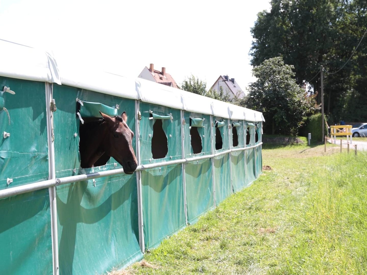Reitstallzelt mit mobilen Pferdeboxen für Ihr Turnier.