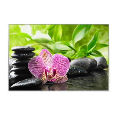 DIGEL-HEAT_Infrarot-Bildheizung_Front_1769965061361