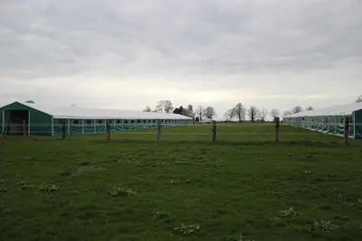 Stallzelte mit mobilen Pferdeboxen zum Turneir