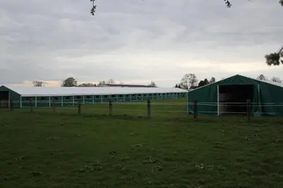 Stallzelte mit Pferdeboxen zum Turnier